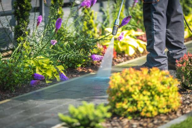 Carney, MD Pressure Washing Company
